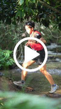 BIB:  <button type="button" onclick="openModal(27808286)" class="btn btn-primary btn-sm float-right" data-toggle="modal" data-target=".modal-high-quality">
                <i class="fa fa-download"></i> Download
                </button>